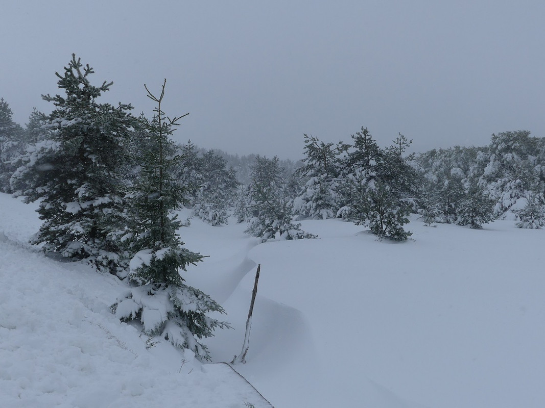 P1020917.jpg