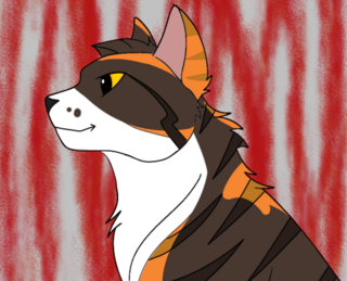 abetteravvy.png