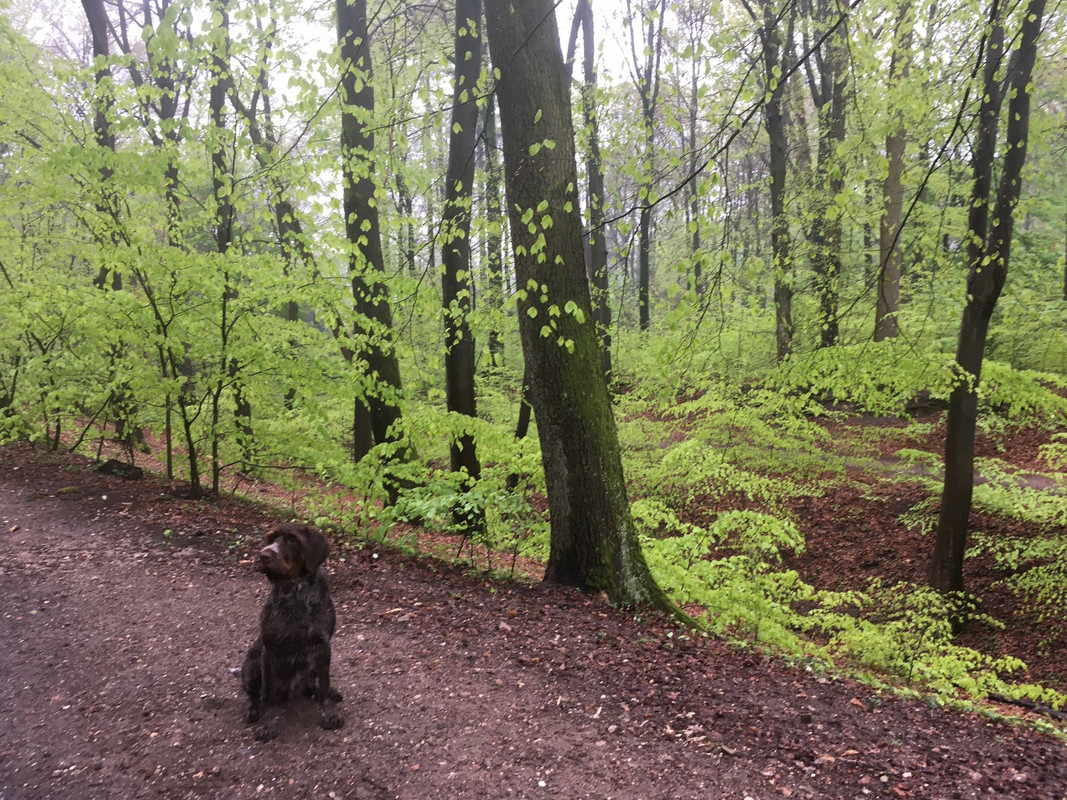 2025-21-04 Claire in Lentegroen IMG_4863 (002)