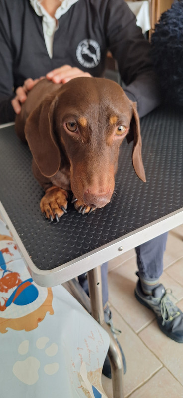 [Image: 20251002-150829.jpg]