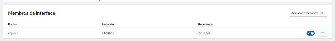 BigLinux_rede Bridge_NetworkManager_Virt-Manager_22