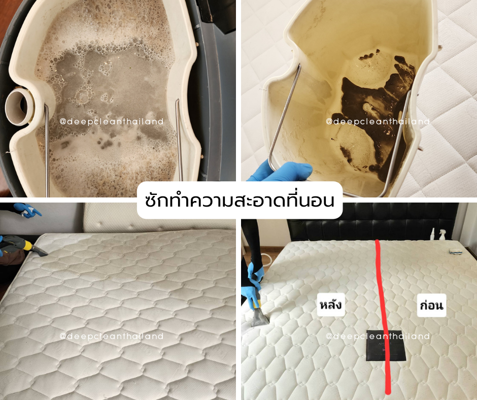 ผลงานการกำจัดไรฝุ่นบนที่นอน