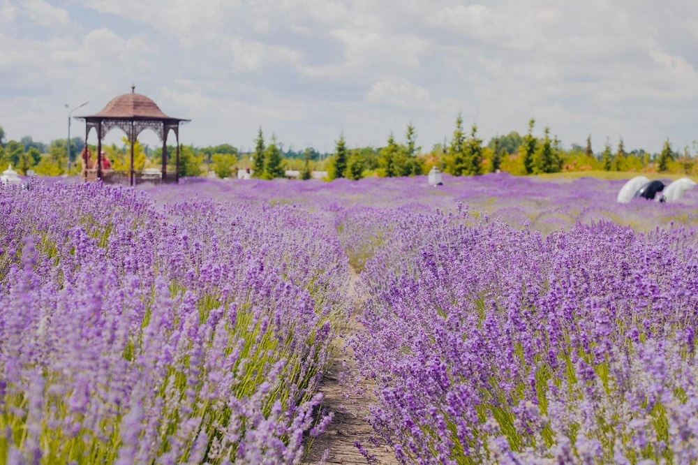 357377132-565698539107964-7123699016340511281-n