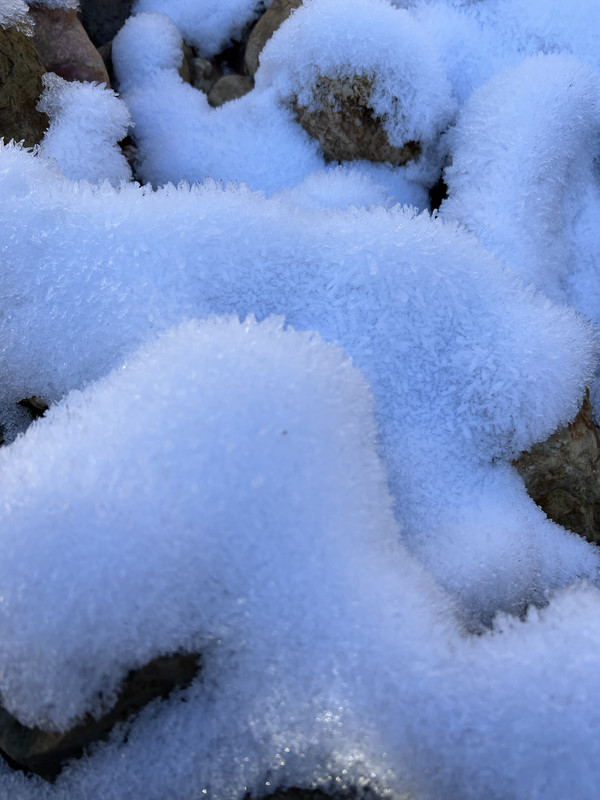 F46F5F0B-49D3-4483-B3E0-04772775C084