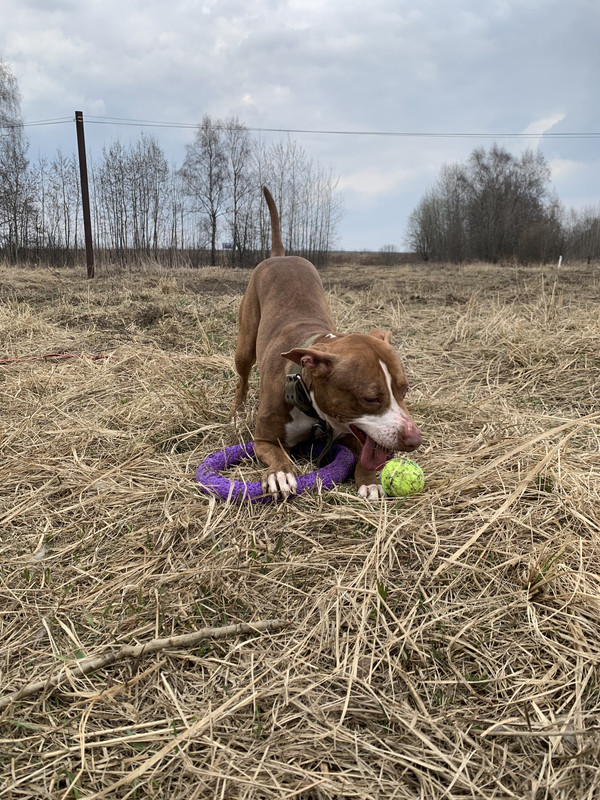 image-09-04-23-05-38-18 (1)