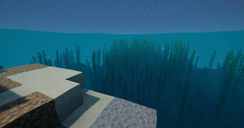 Clear Underwater View