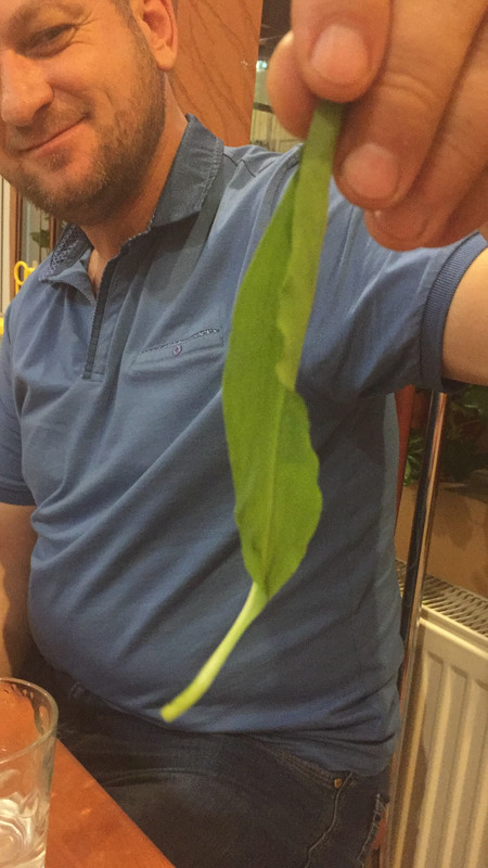 3CB3A8AB-F9C9-4D07-9398-CF81228D7A5B