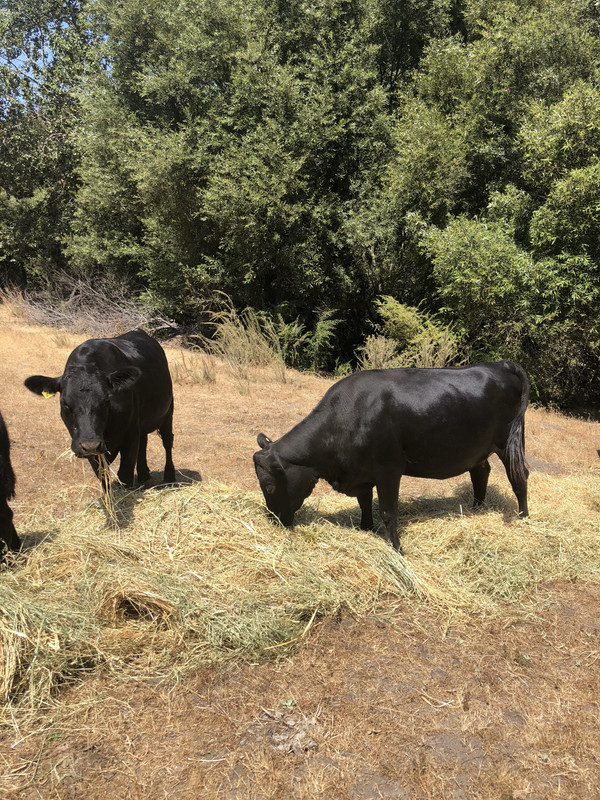 2849FA6F-402A-4F4F-985B-6E94A5E6D1DA