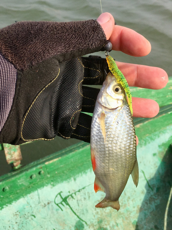 1A500FC5-57B6-4DE3-9F28-B029D095ED90