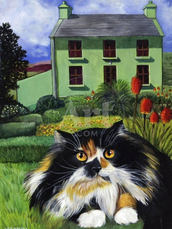 persian-cat-in-ireland-chat-persan-en-irland_u-L-Q1HAW8E0