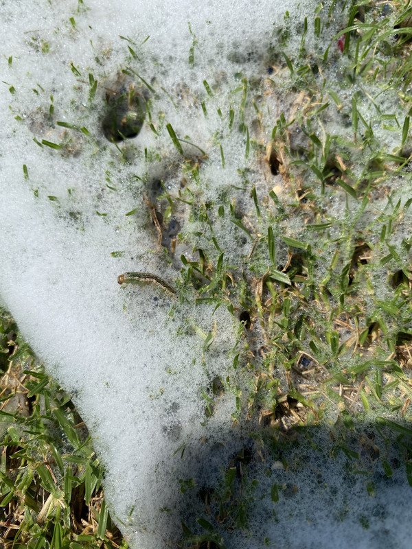 17653D36-EF78-497C-97C0-CDE8F2ED5E75