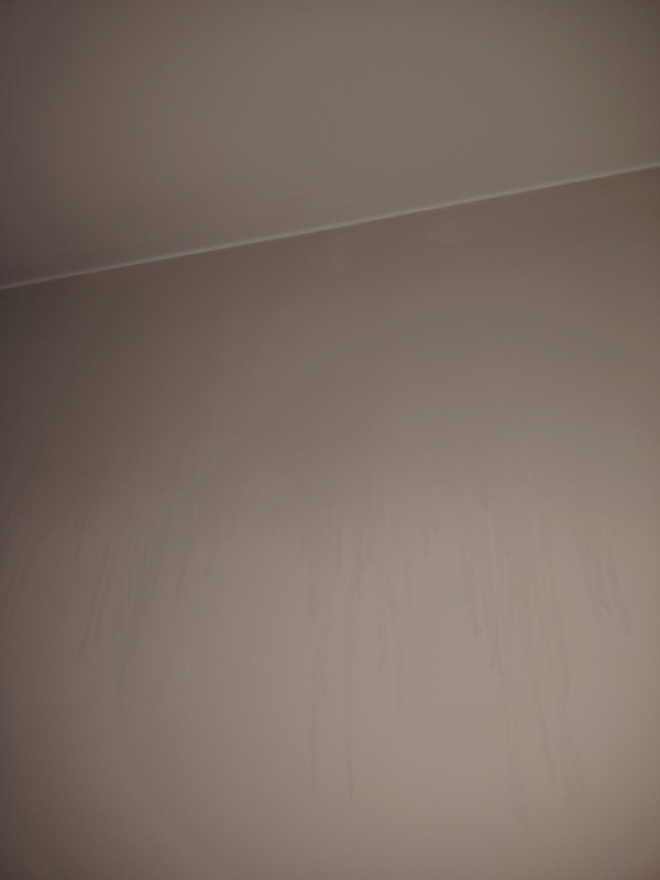 IMG 20251217 090737