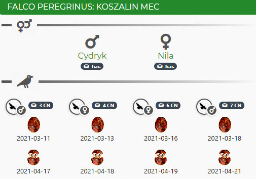 Koszalin mec Przechwytywanie-w-trybie-pe-noekranowym-21-05-2021-110432