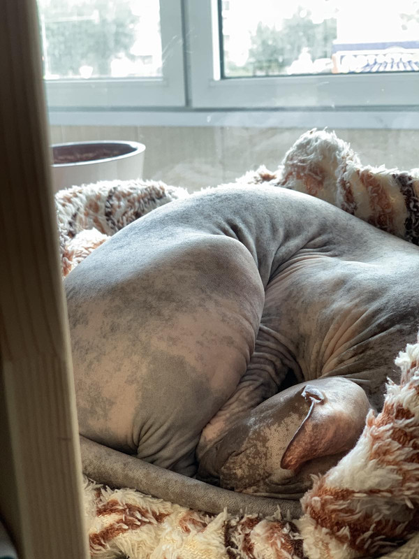 IMG-13fe4af3536802118f6d977b70366460-V