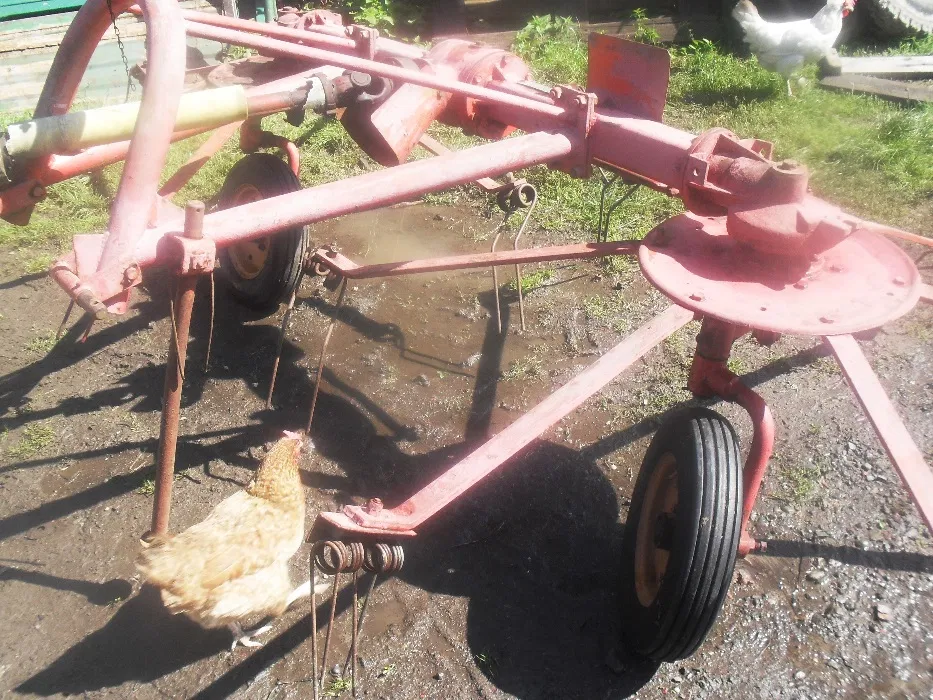 image - 2020-09-13T174611.898