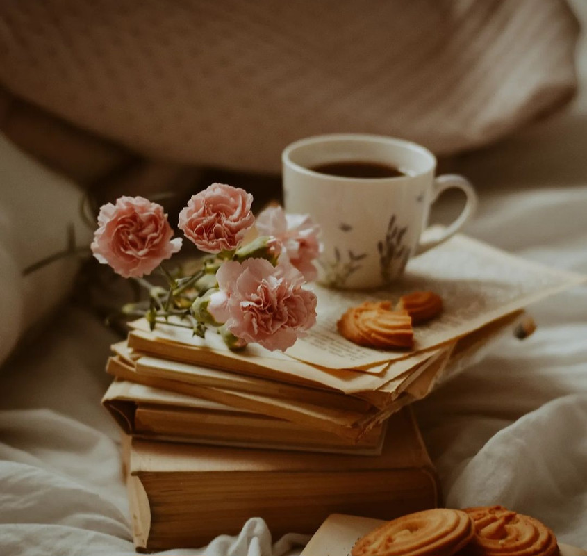 Screenshot_20231203_232255_Instagram