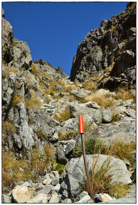 Nelson Lakes NP: Blue Lake Circuit (abril 2023) - Escapadas y rutas por la Nueva Zelanda menos conocida (54)