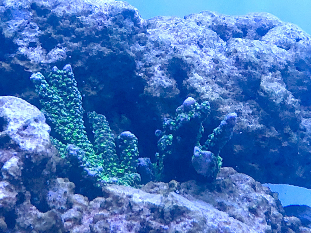 DF569B75-9027-4A03-9590-550FDF99771F