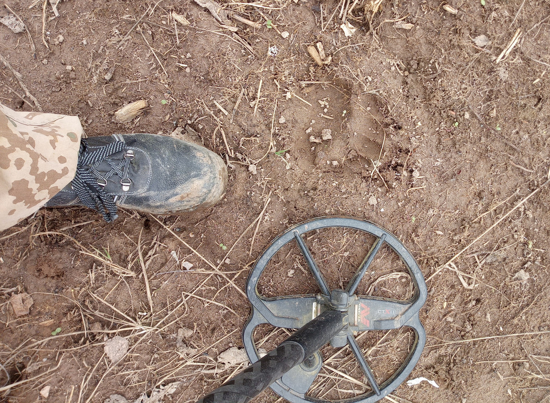 CEC842E6-1742-4DA8-A9FA-71A9E301F96A