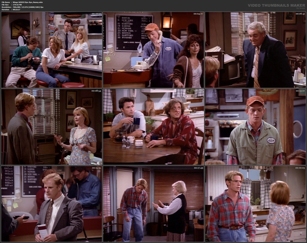 Wings S05E03 Bye-Bye, Bunny.mkv