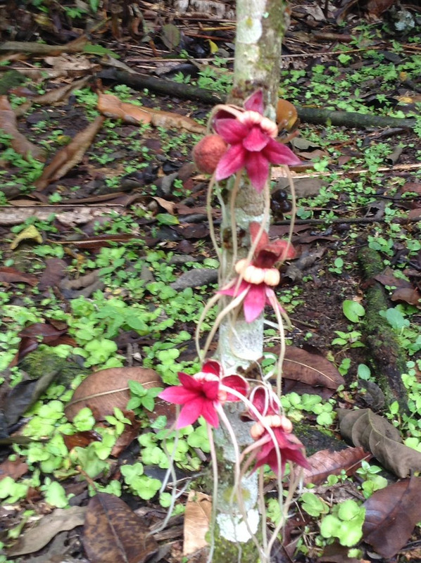 5DB60069-2025-4346-9D39-FE99481CB936