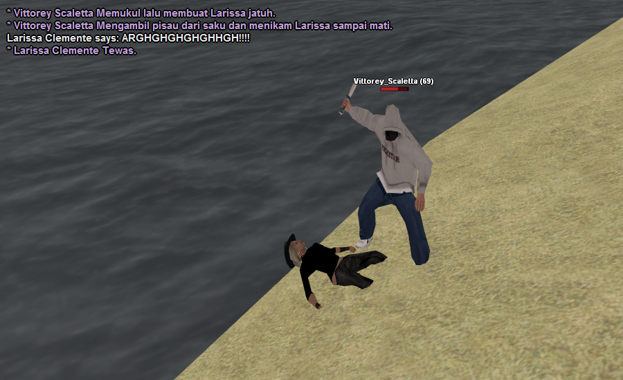 ck-larisa-9.png