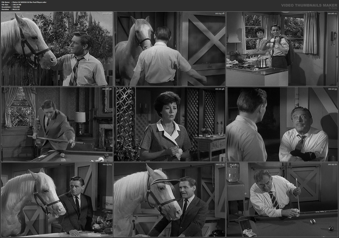 Mister Ed S05E02 Ed the Pool Player.mkv