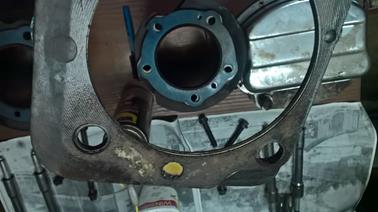 WP_20230323_16_33_02_Pro_LI (Copy)