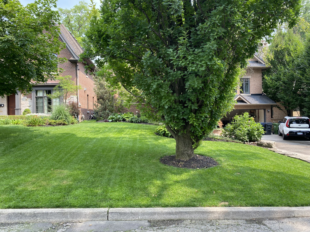 F75B522A-E9E1-4588-9694-889D01C9B01C