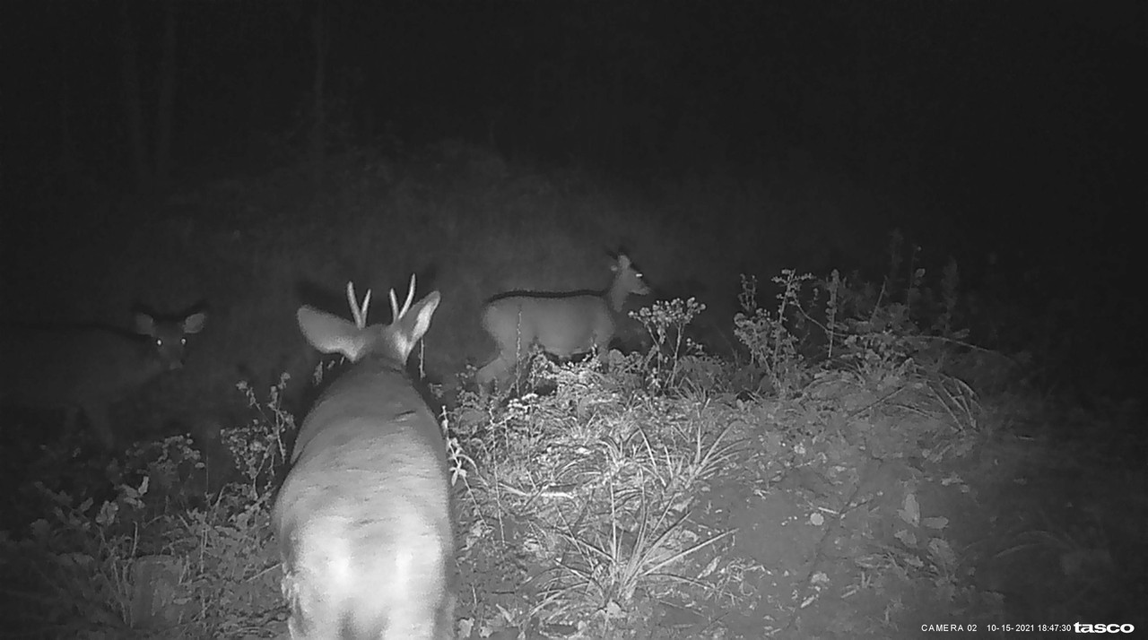 B64304B7-14F0-4D53-A28D-3188D5F64454