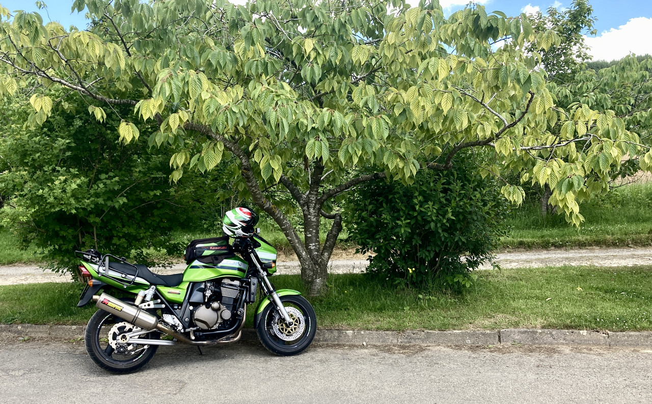 1CAADE69-1752-496B-B744-43823BA80C93