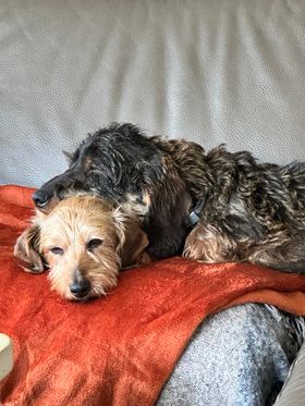 [Image: 420203026-1098391641345119-297170017692344288-n.jpg]