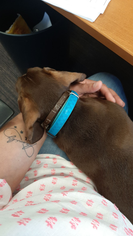 [Image: IMG-20200819-WA0003.jpg]