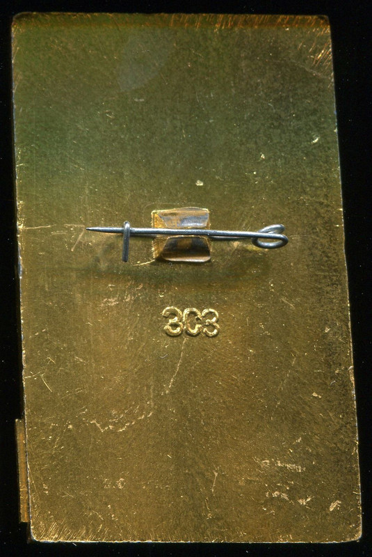 Мотокросс 12-76 Гостевой. ЗСЗ, аал, 32х51, рев