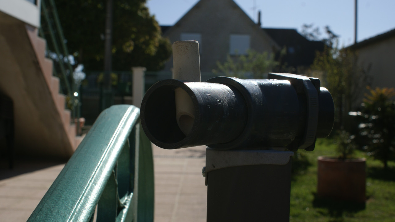 DSC00736 (1)