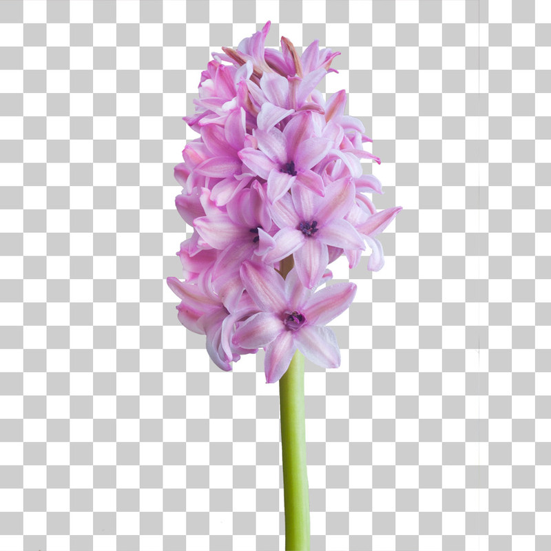 0 (103)