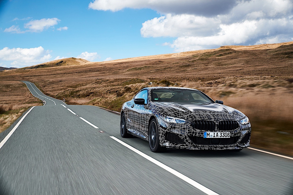 BMW 8 Series Coupe (1)