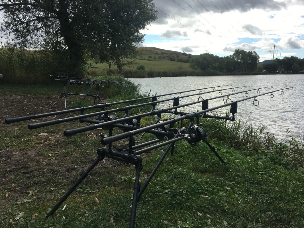 CEA899B0-54A7-4528-81B6-085D80BC9BC4