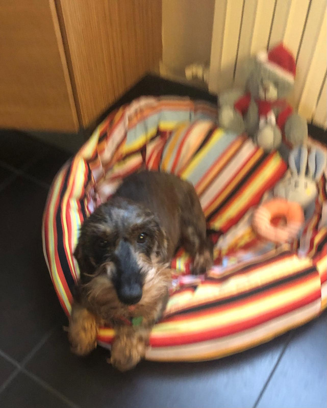 [Image: IMG-20240527-WA0002.jpg]