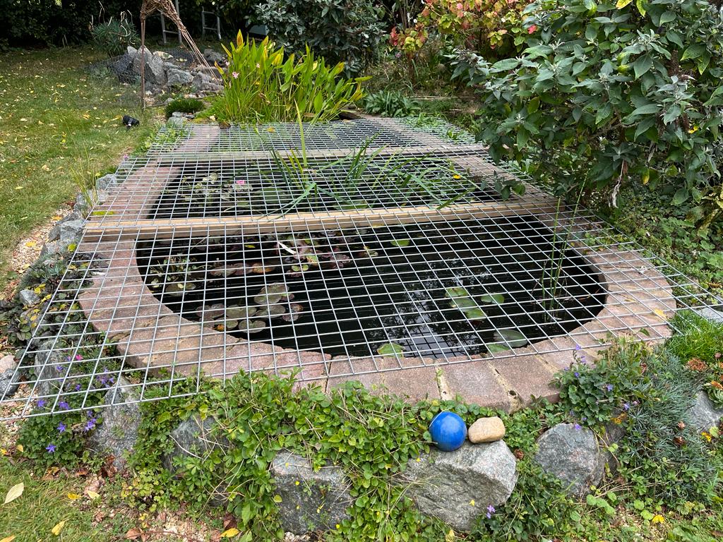 f7e87269-440a-442e-a5d5-dbe8b8ca602a