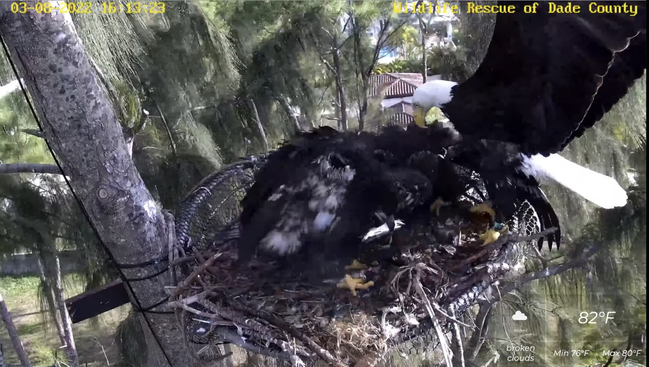 D0C82502-C968-49BC-963C-4C94151F1236