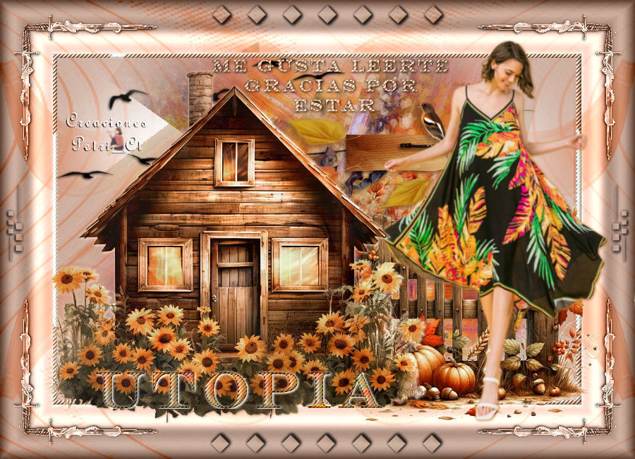 MEGUSTALEERTE UTOPIA