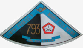 CCac793