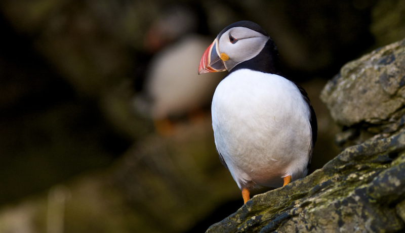 Screen Shot 2017-07-19 at 14.57.28