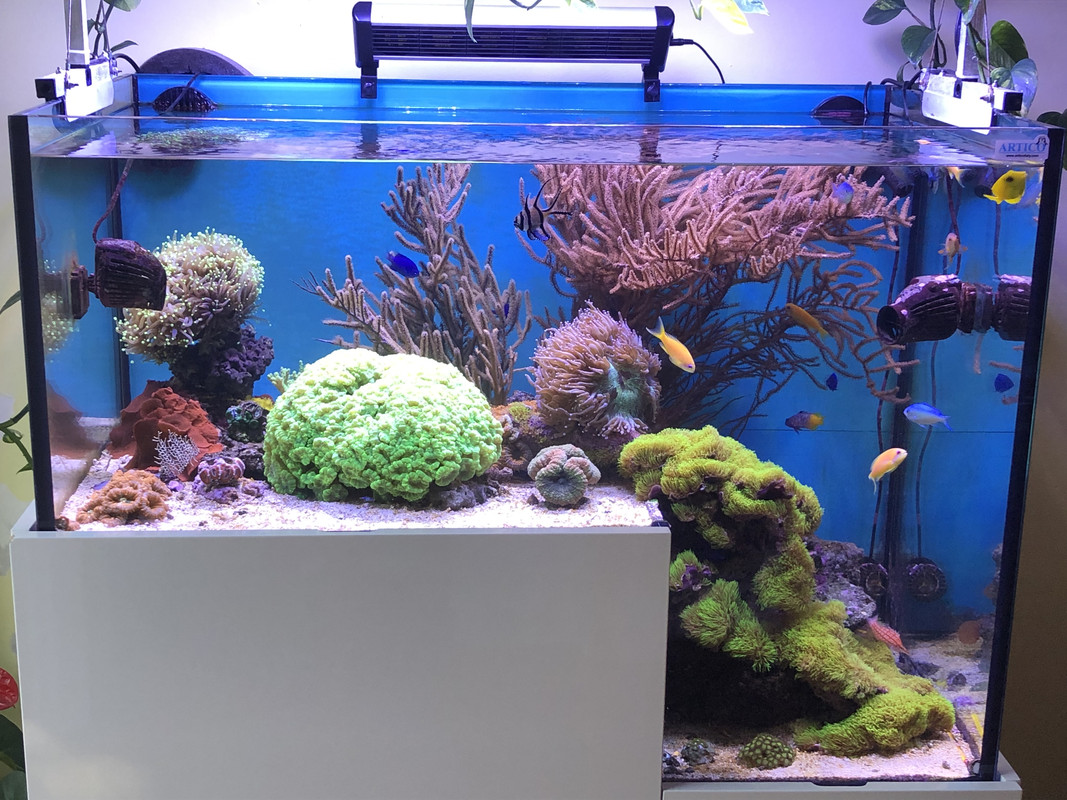 5019EB98-CB0C-48F4-909C-E51A5461C68B