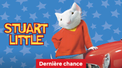 https://i.postimg.cc/d1h4fKgW/image.png