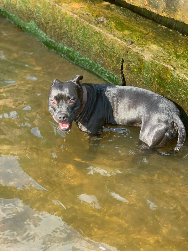 BDEFF9DD-B083-4216-B441-6AC1029C2CA8