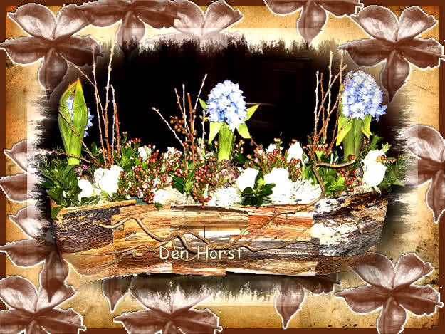 DE-LENTE-IN-HUIS-HALEN-1
