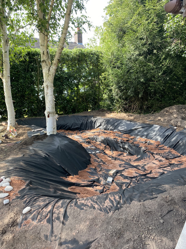 DDEE7428-4A22-4CDB-8838-234030F077C5