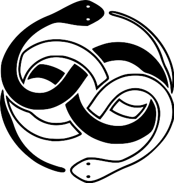 The AURYN - BadWolfDigital